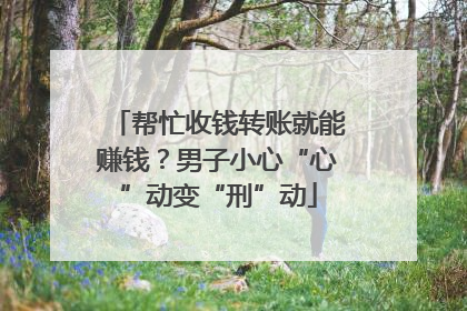 帮忙收钱转账就能赚钱？男子小心“心”动变“刑”动